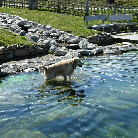 Wasserfalle *