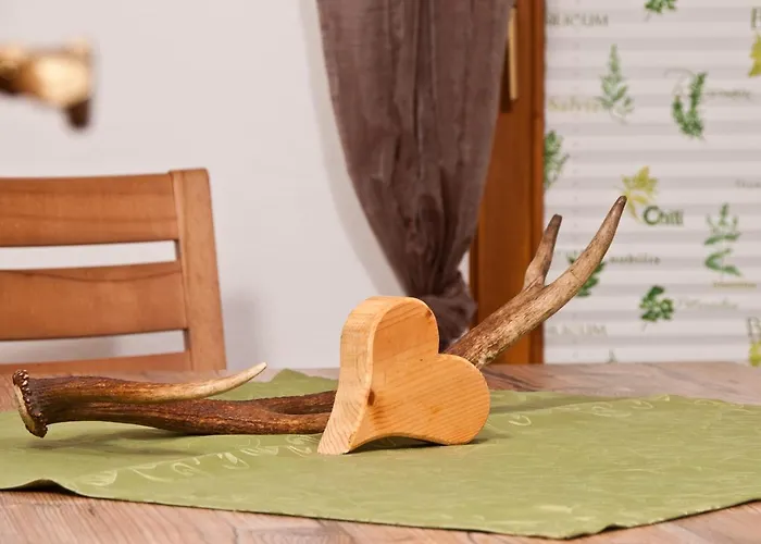 Wasserfaelle شقة *